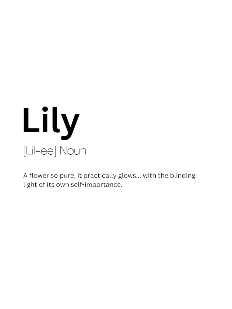 Lily Definition Meaning 1