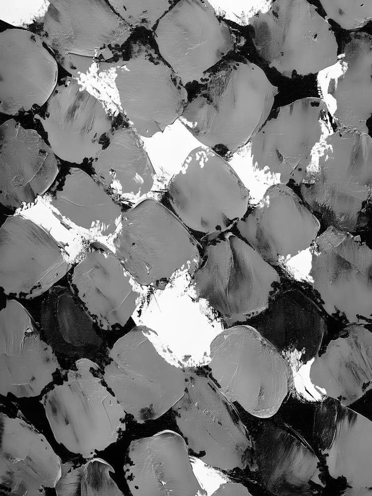 Black And White Fish Scales