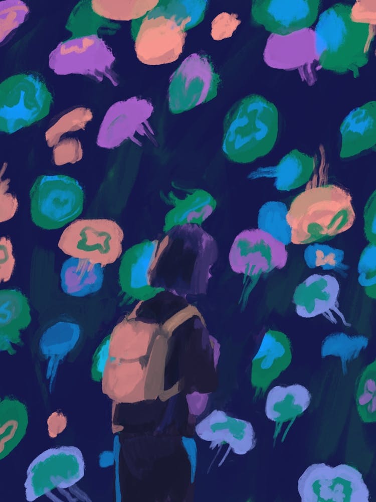 Jellyfish 1