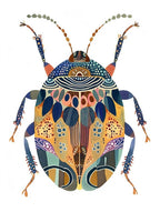 Colourful Insect Illustration Pill Bug 14