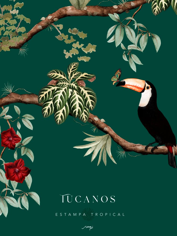 Verde Tucanos 2