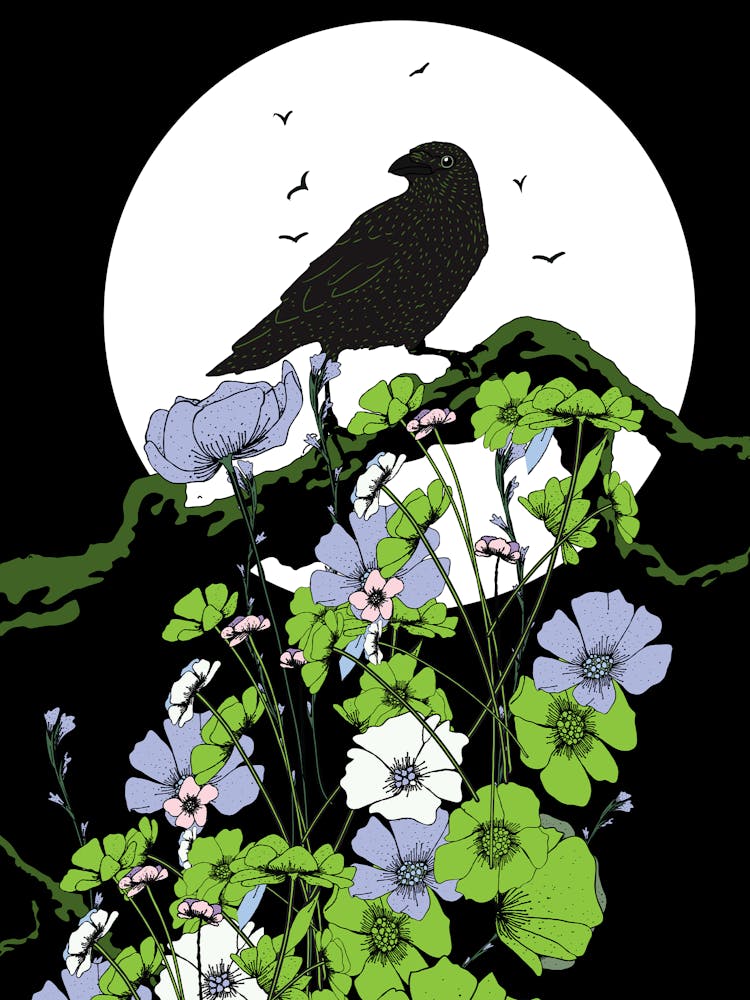 Crow On Flowers