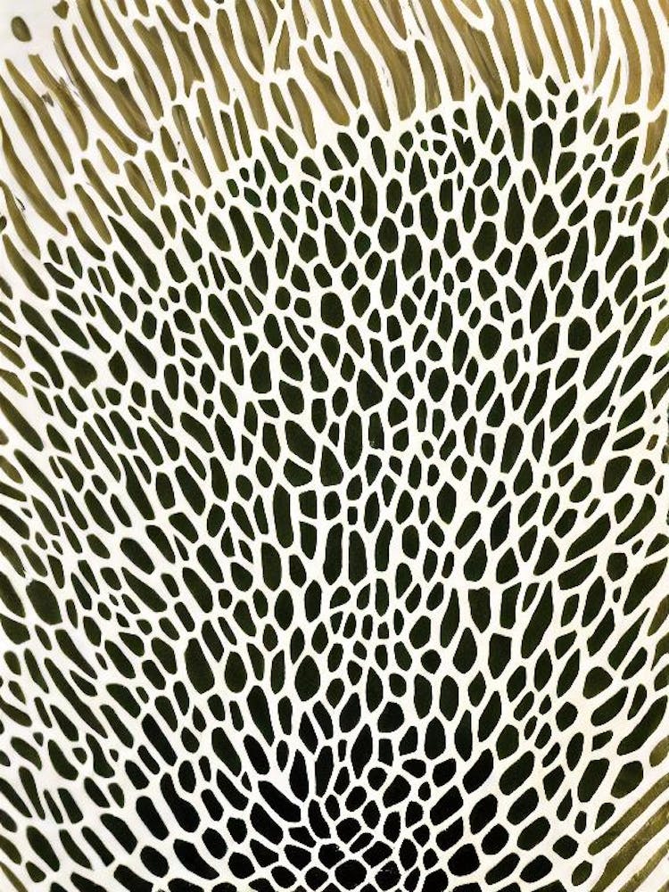 Acropora Papillare Ii Linocut