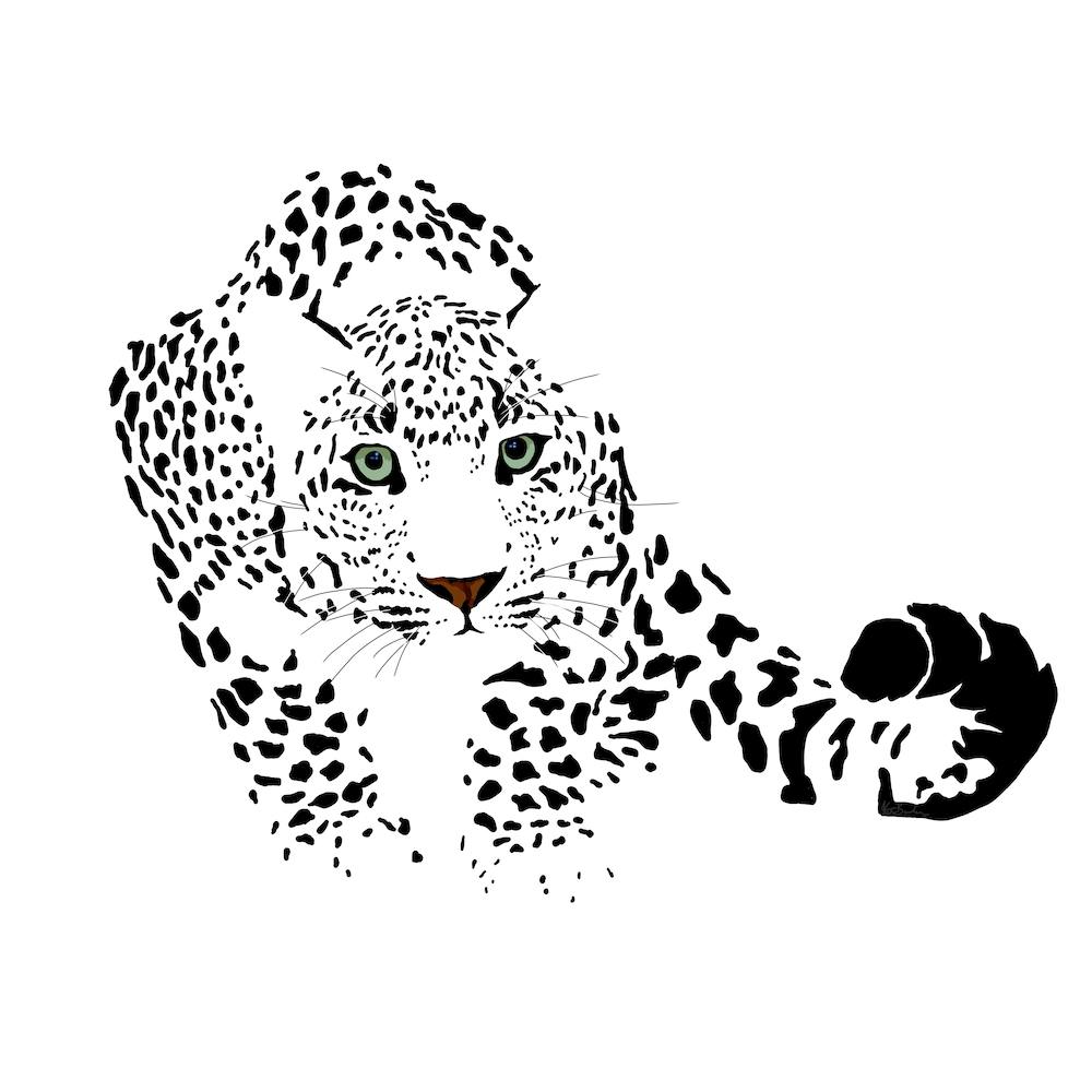 Snow Leopard White Series Square