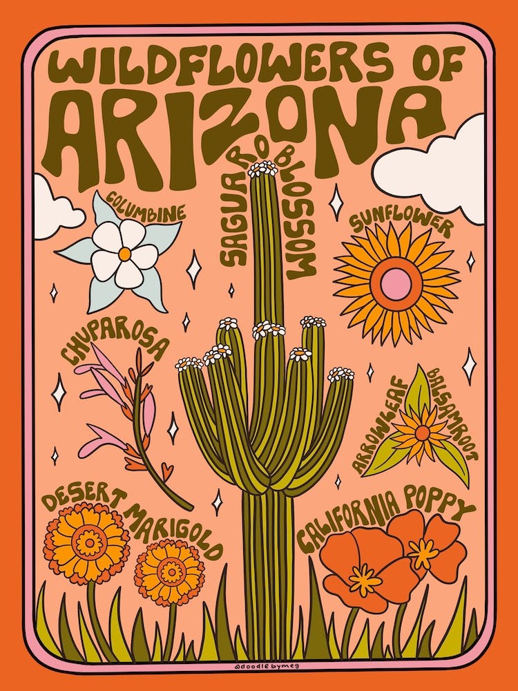 Arizona Wildflowers