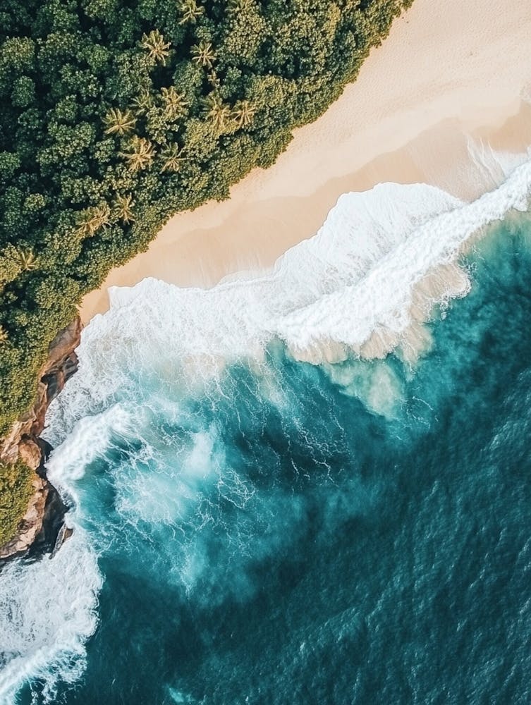 Aerial View Of A Tropical Beach 6