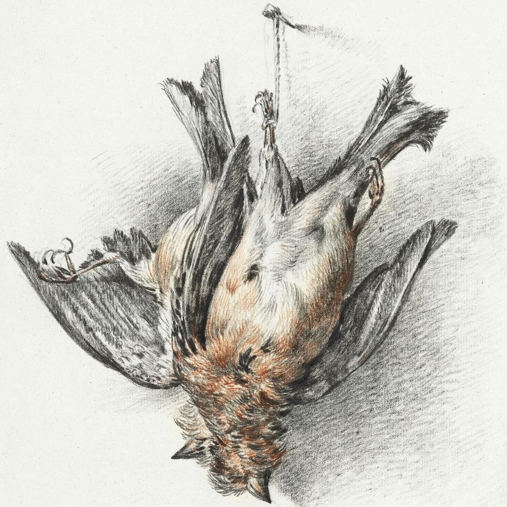 Two Dead Birds, Jean Bernard