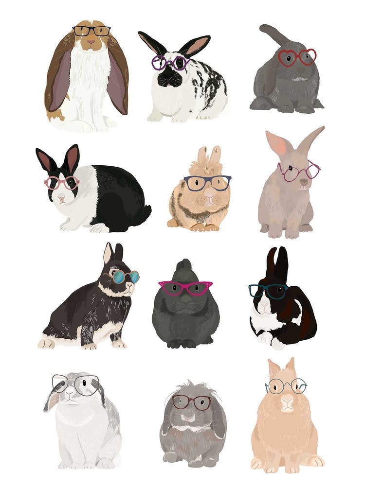 Rabbit Family