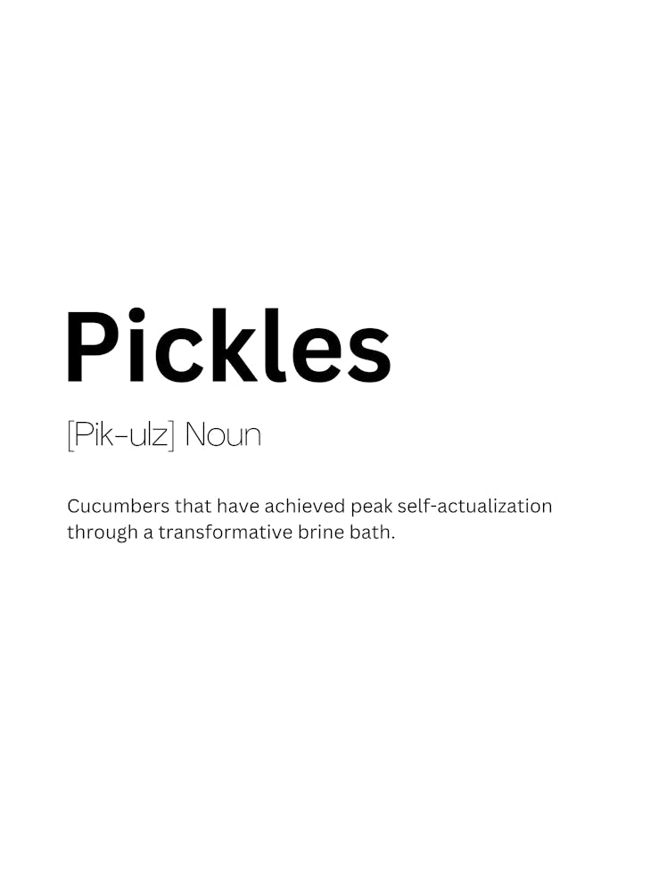 Pickles Définition et Signification 1