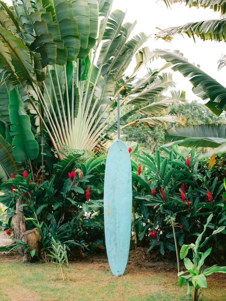 The Blue Surfboard The Dominican Republic 