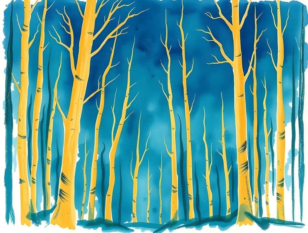Aspen Trees 1