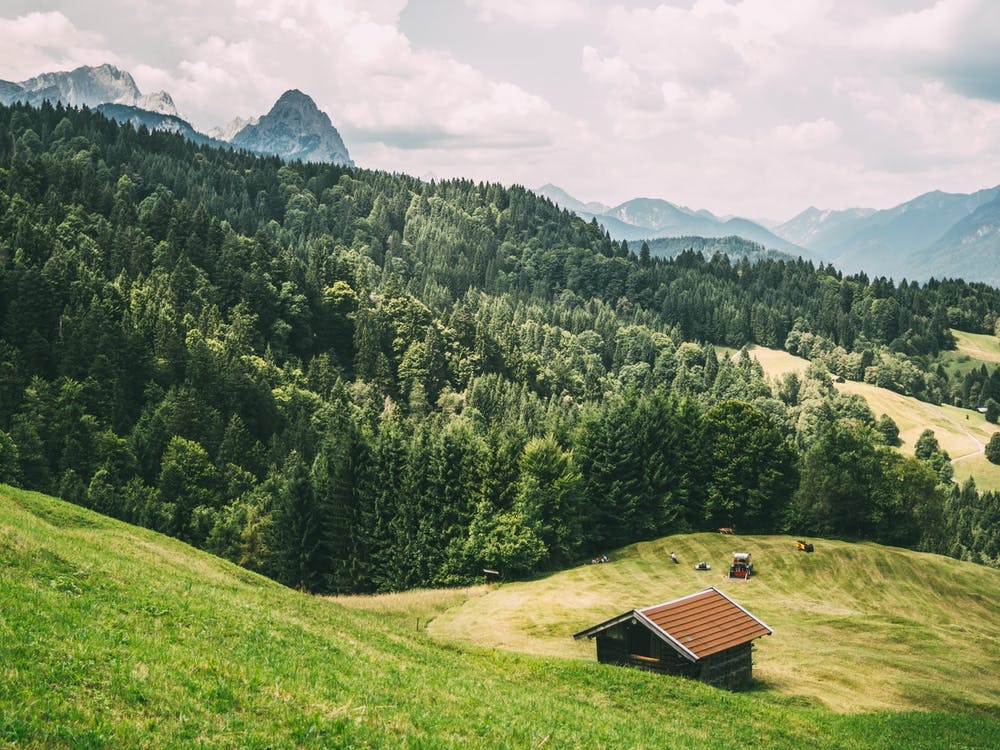 Collines Alpines