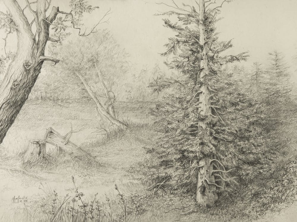 'Sauvage' Drawing, Aga Szafranska