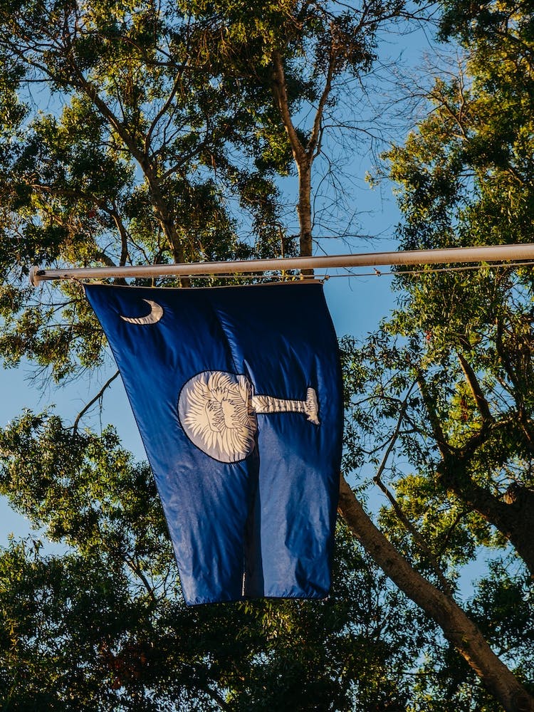 Charleston State Flag