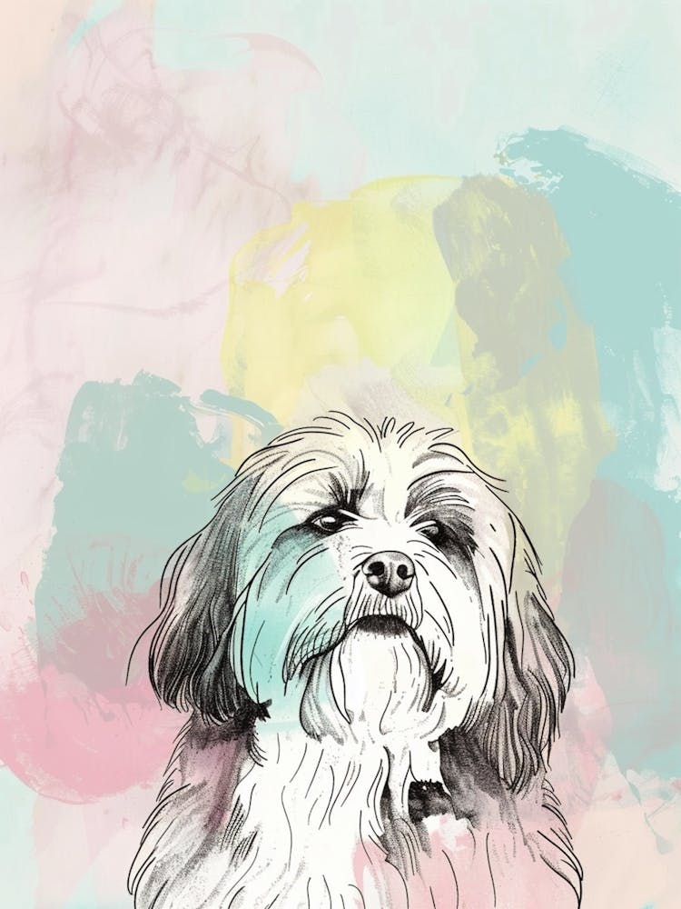 Pastel Bearded Collie Dog Pastel Line Illustration  4