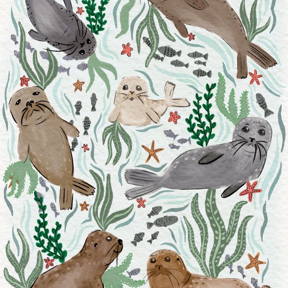 Seals 