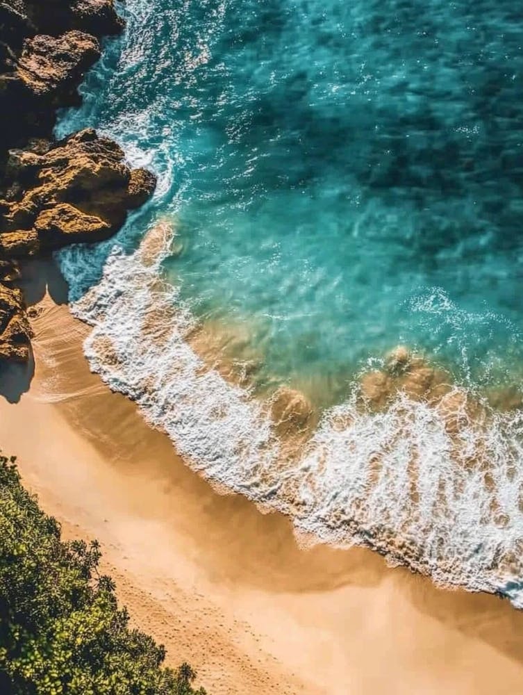 Plage de Sydney
