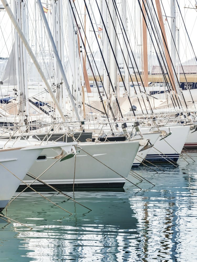 Palma de Majorque Yachts dans la Marina