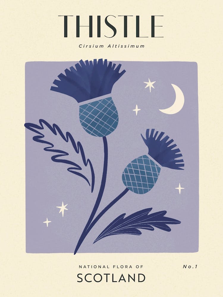 Vintage Purple And Blue Thistle Flower Of Scotland