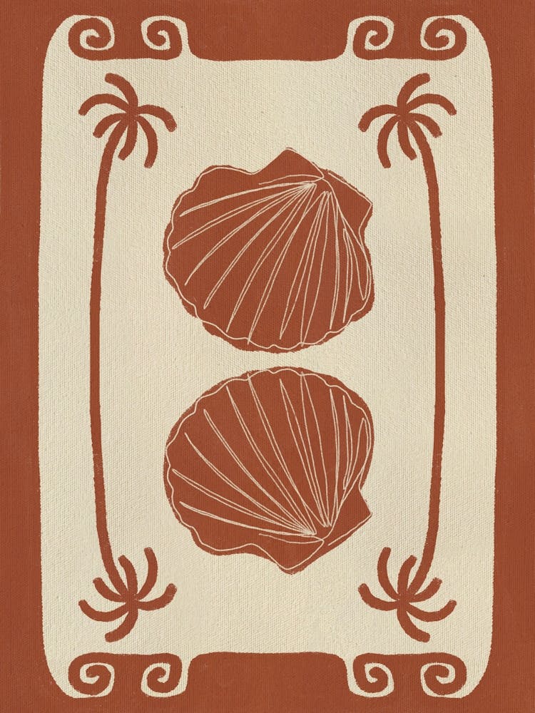 Terracotta Seashell Stories