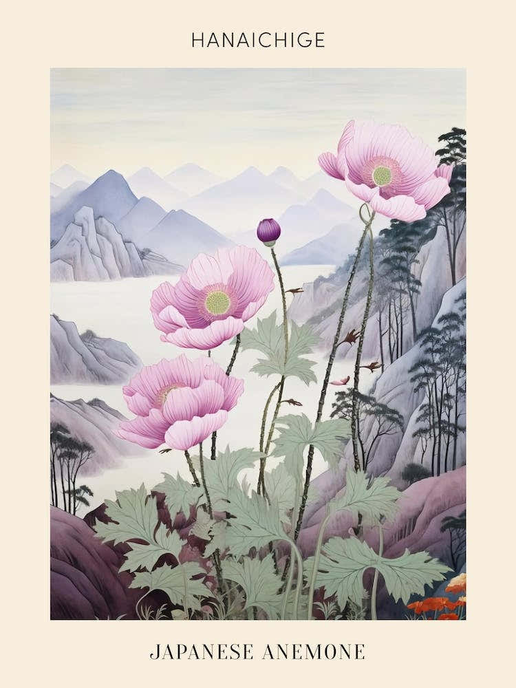 Hanaichige Japanese Anemone 2 Japanese Botanical Illustration Poster