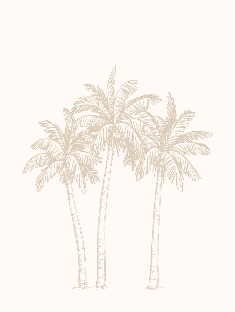 Palm Trees - Beige