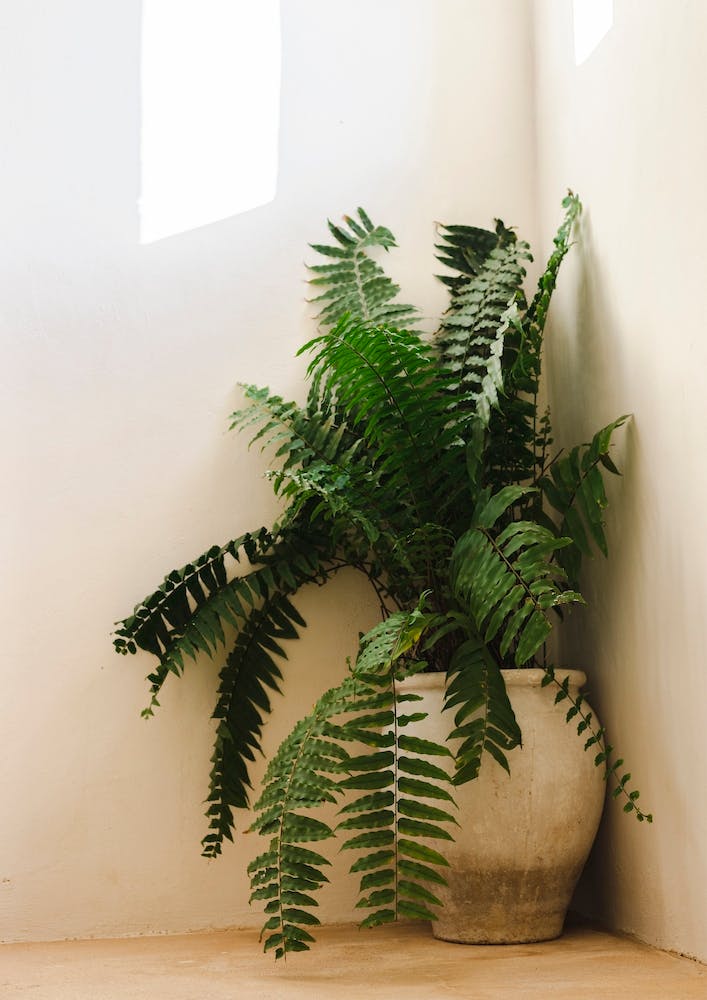 Green On White