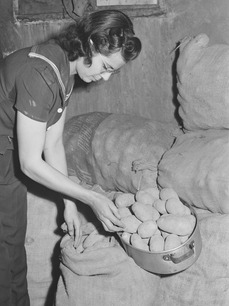 Mrs Lee Wagoner, Wife Of Black Canyon Project Farmer, Gets Homegrown Potatoes From Storeroom, Canyon
