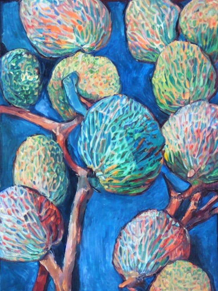 Custard Apple 2 Classic Fruit