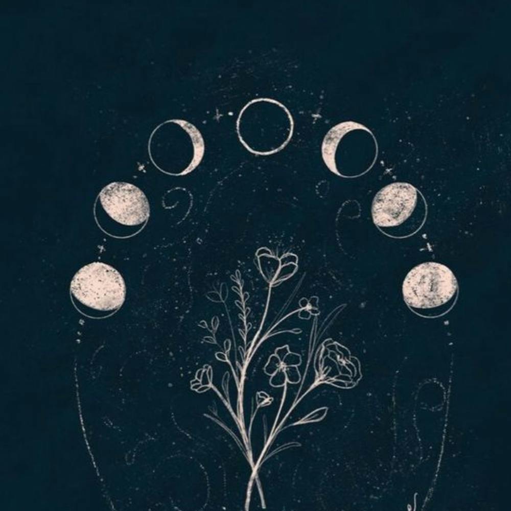 Moon Phases