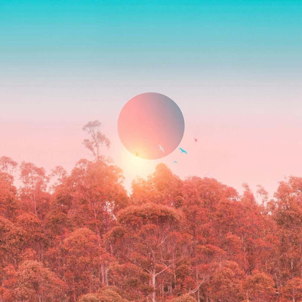 Colorful Birds In The Sky Square