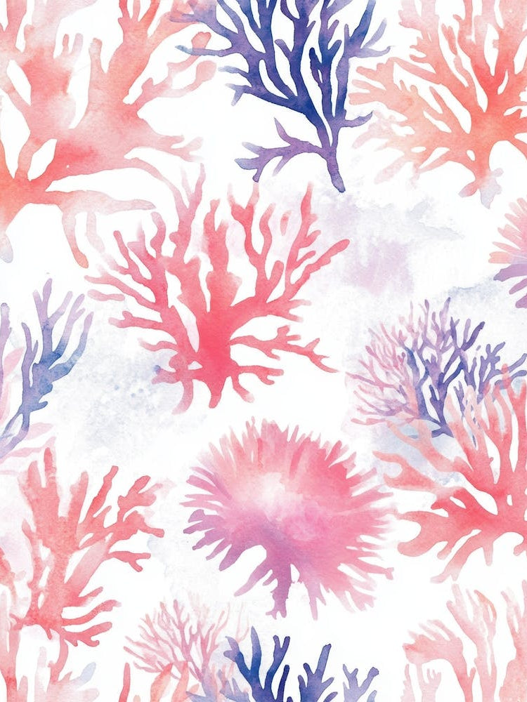 Corals 1