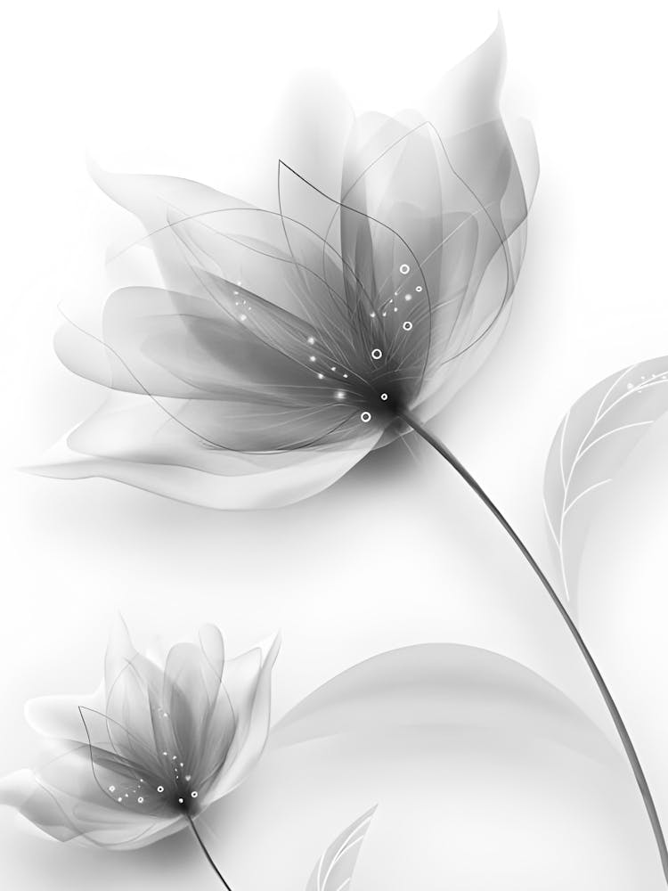 Fleurs Noires Et Blanches 37