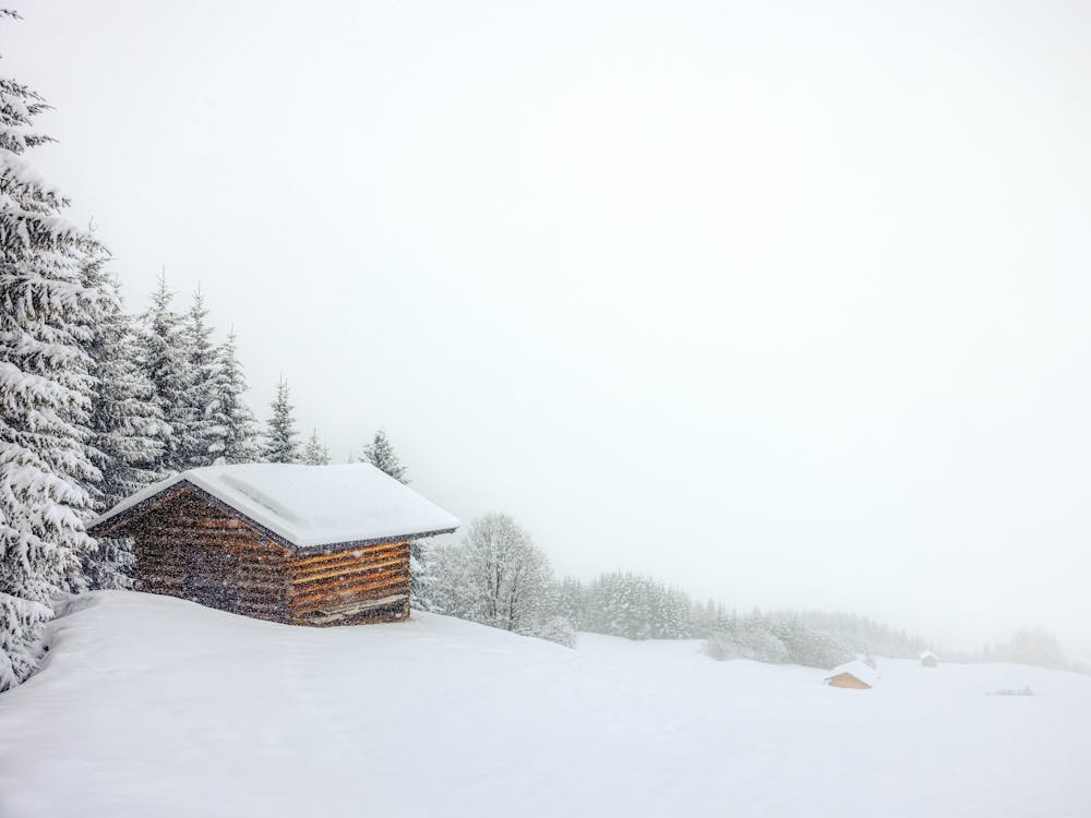 Cabins In The Snow