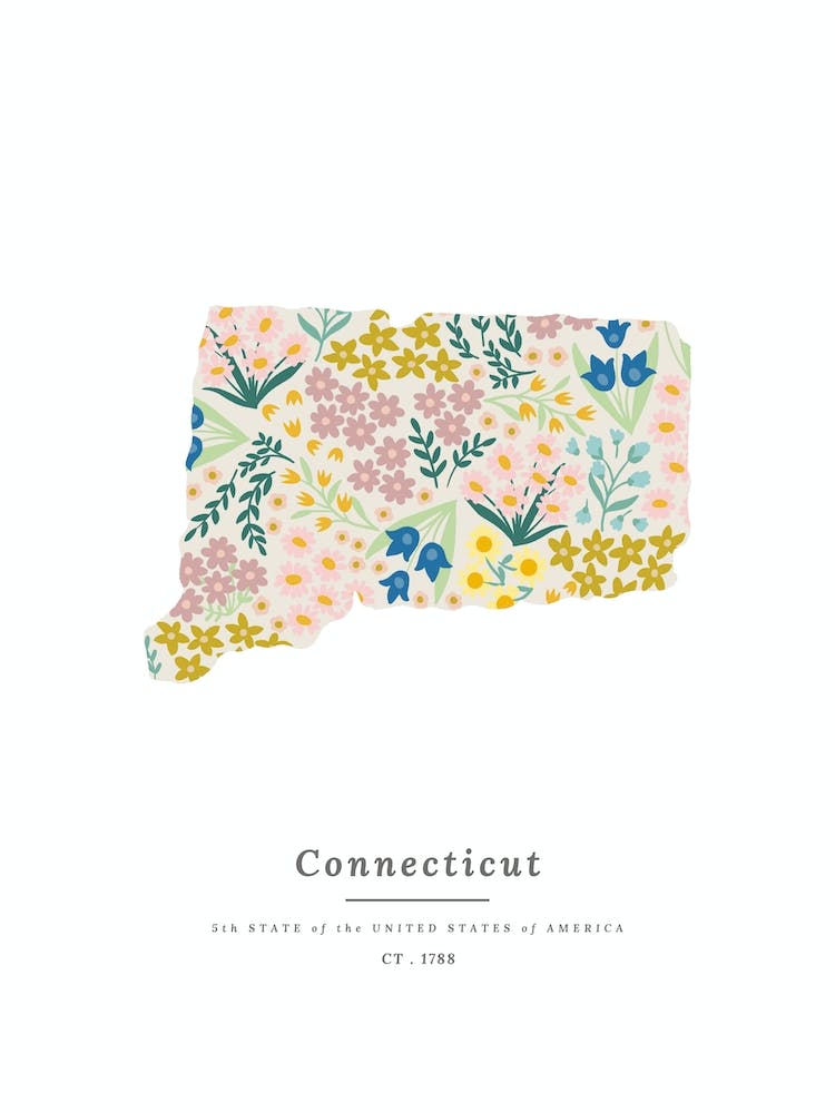 Connecticut | Wildflower Mix