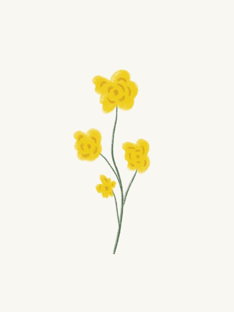 Yellow Flowers