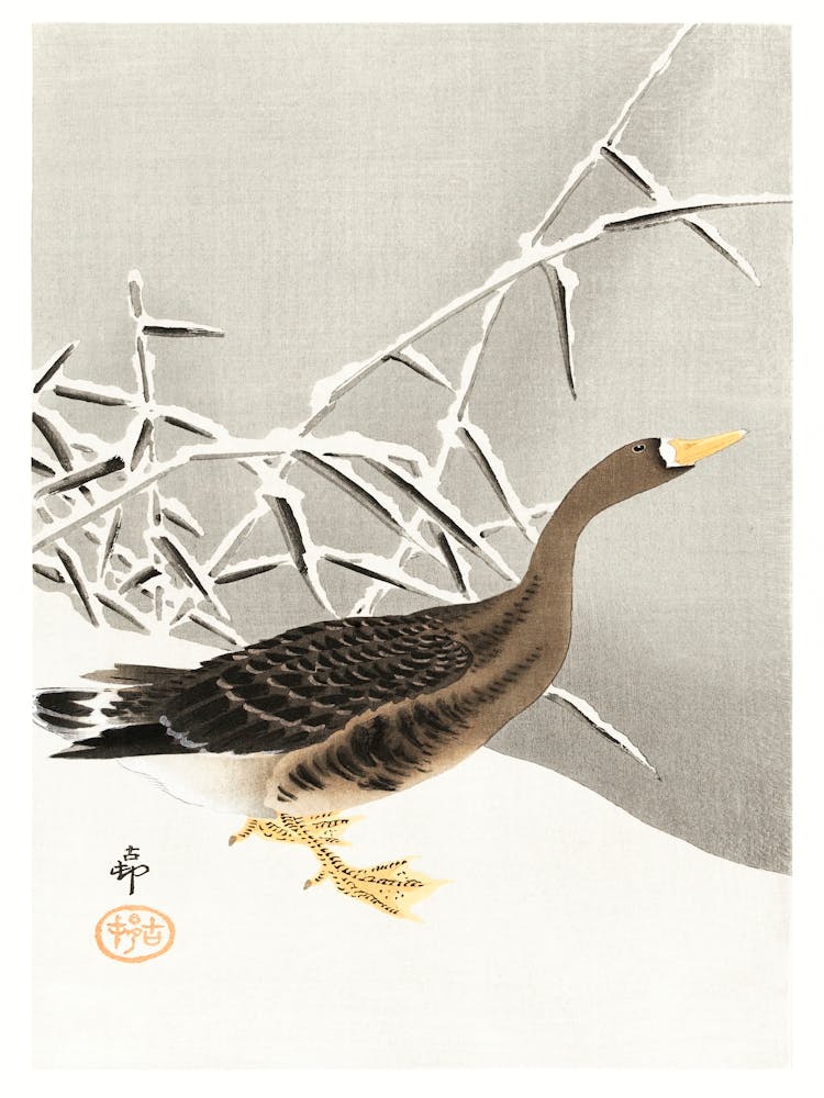 White Fronted Goose In The Snow (1900 1930), Ohara Koson