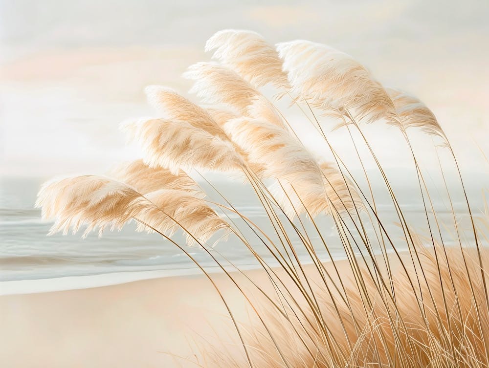 Pampas Grass To Dream About
