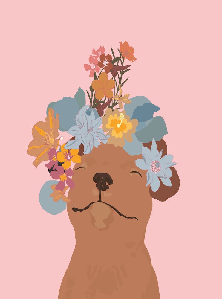Flower Dog