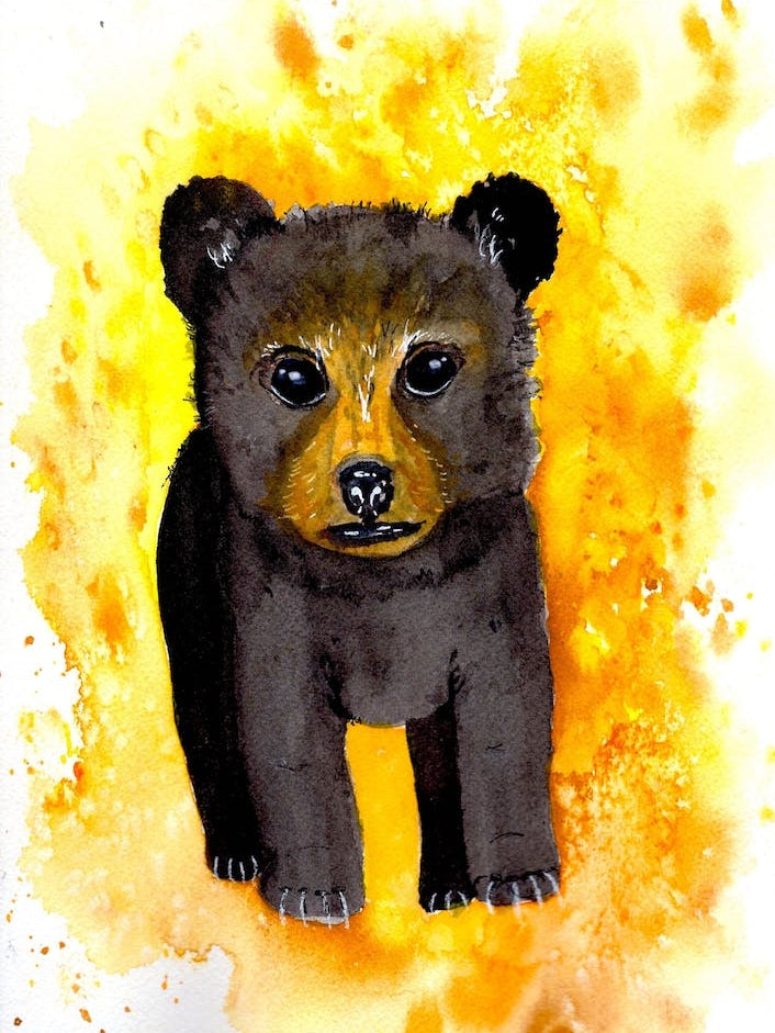 Honey Bear Cub