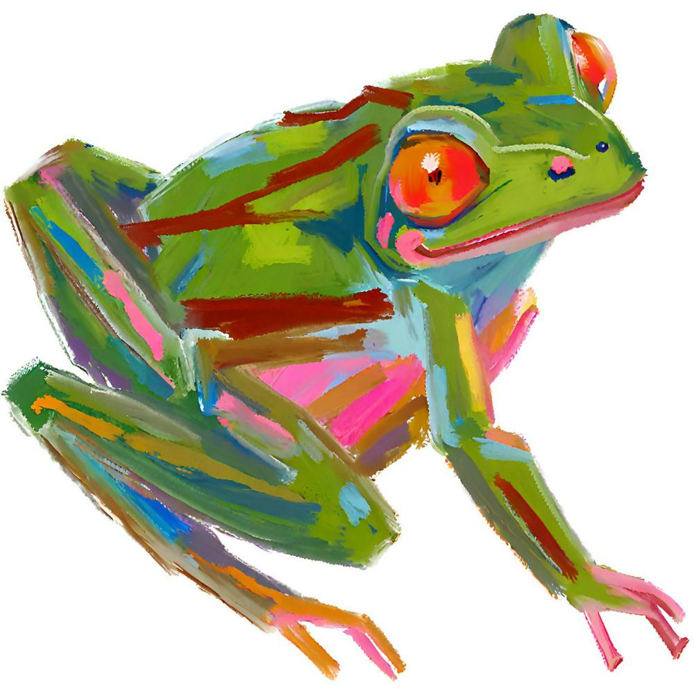 Red Eyed Tree Frog 06