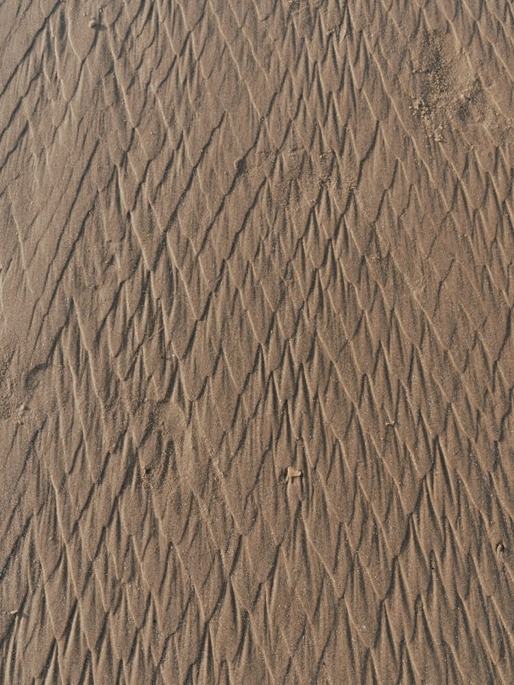 Textures de Sable Doré