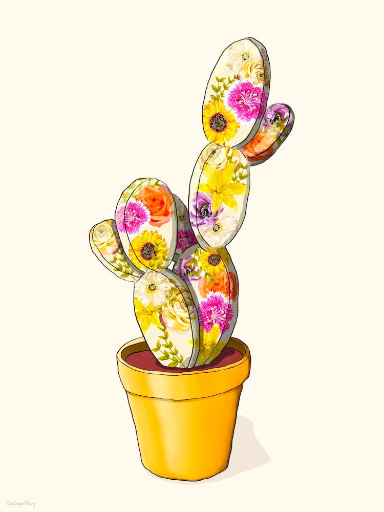 Floral Cactus 1
