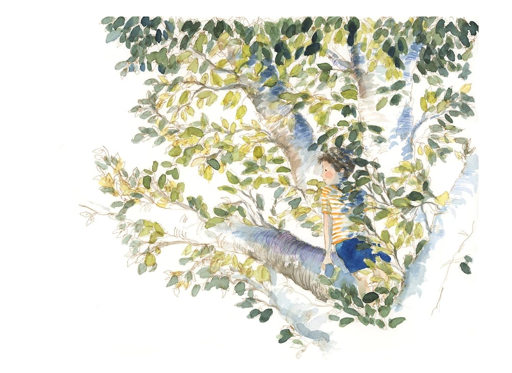 Enfant Dans L'Arbre