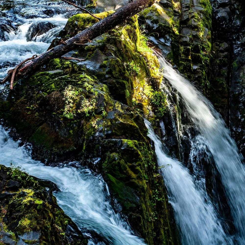 Sol Duc Falls Squarw