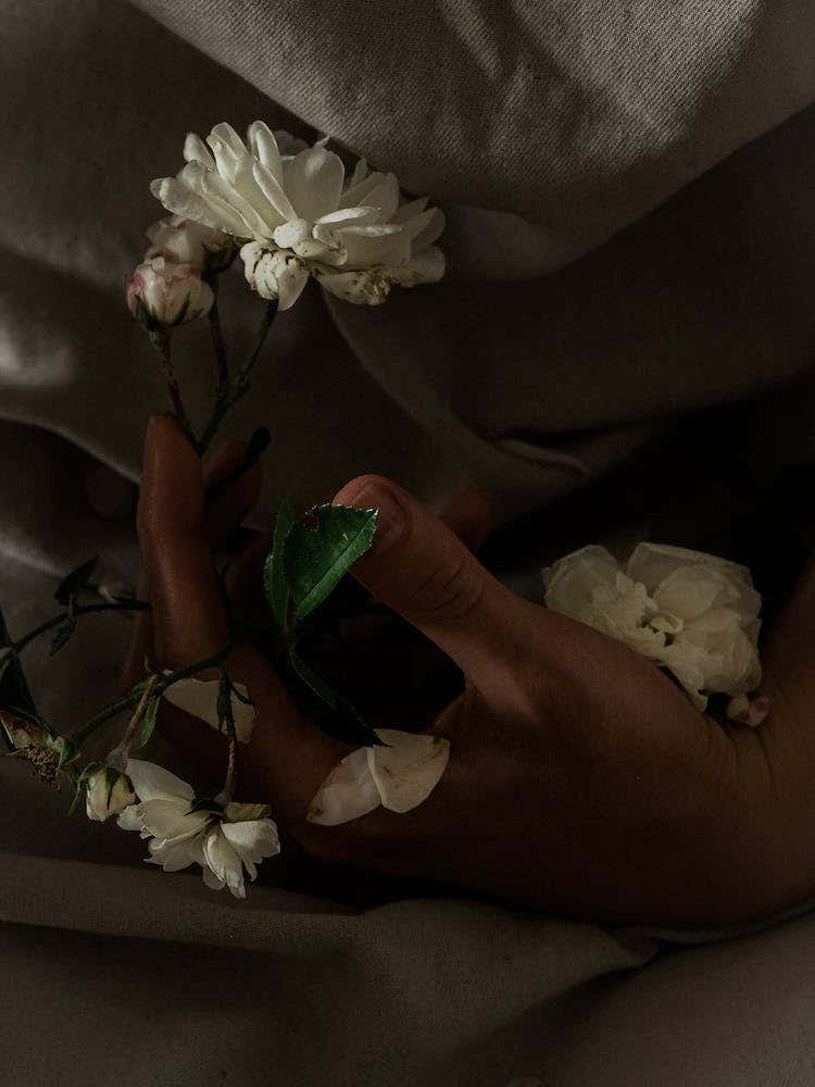 Hands And Roses