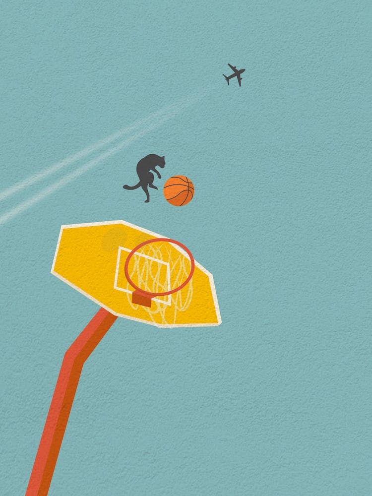 Minimal art Funny Cat and Basketball Hoop