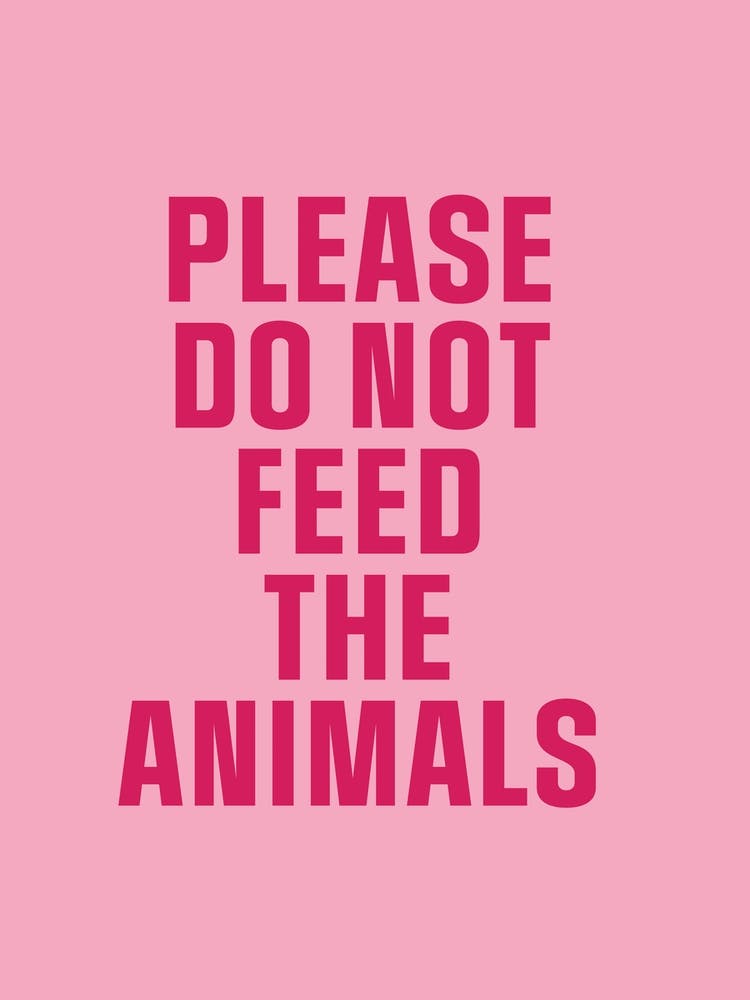 Feed The Animals