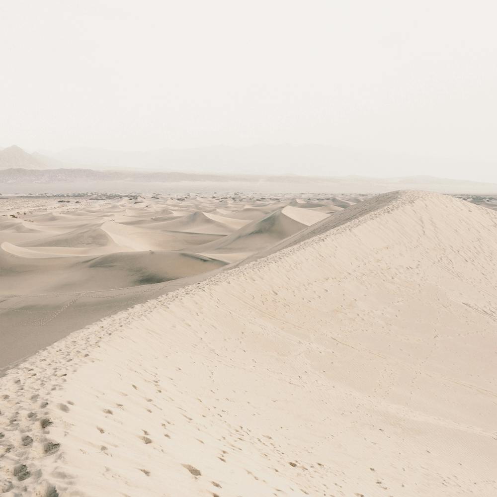 Neutral Sand Dunes