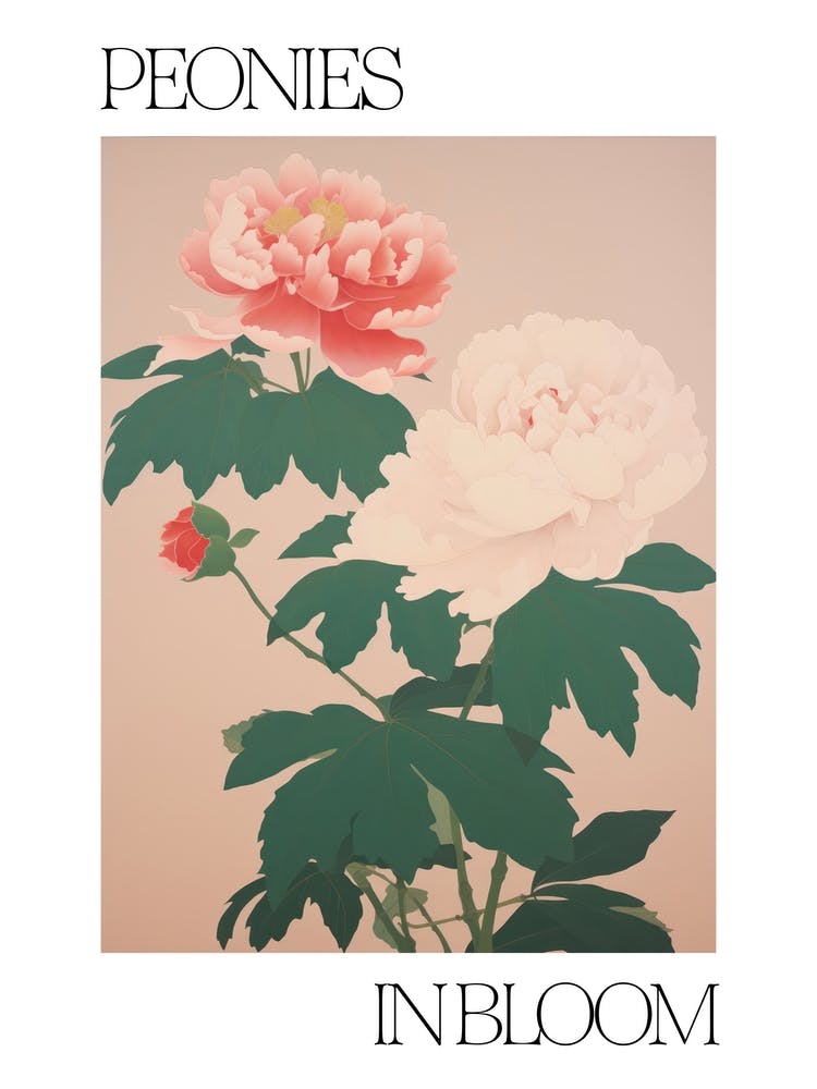 Peonies In Bloom Flowers Bold Illustration 1